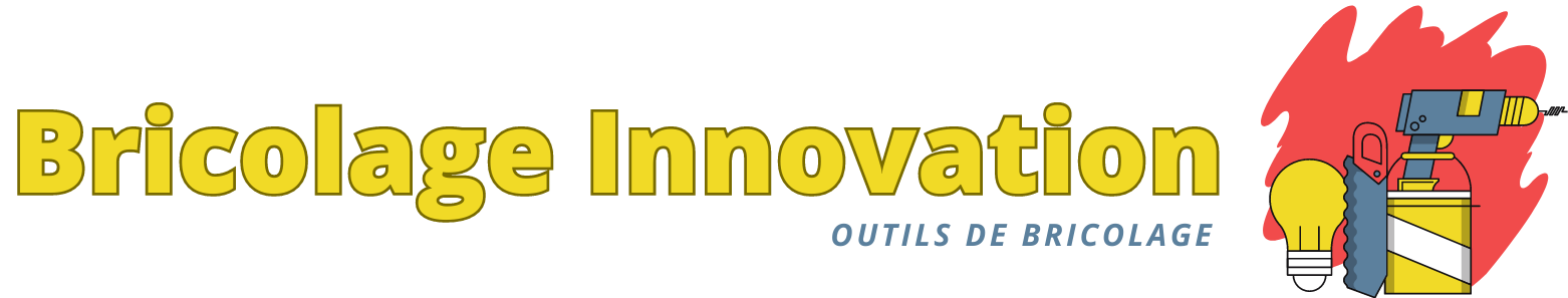 Bricolage Innovation